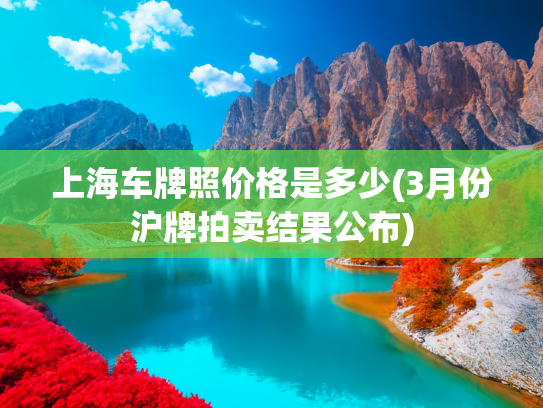 上海车牌照价格是多少(3月份沪牌拍卖结果公布)