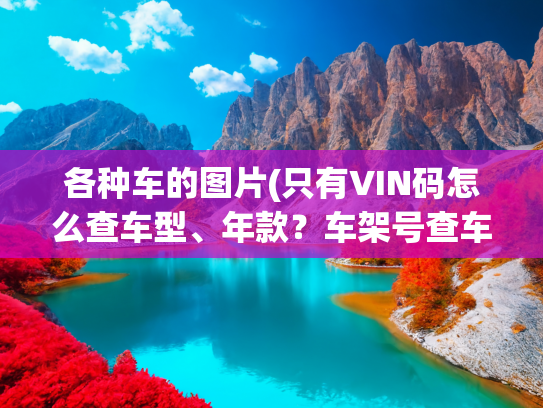 各种车的图片(只有VIN码怎么查车型、年款？车架号查车辆信息，简单又快捷！)