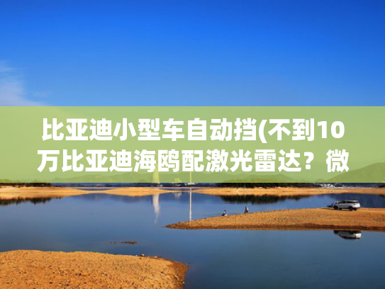 比亚迪小型车自动挡(不到10万比亚迪海鸥配激光雷达？微型车智驾内卷藏何因？)