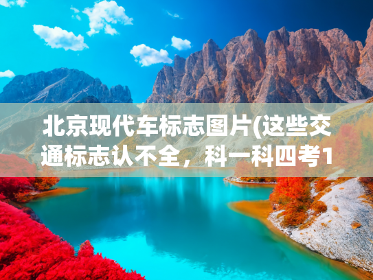 北京现代车标志图片(这些交通标志认不全，科一科四考10次都难过！有驾照也不够扣)
