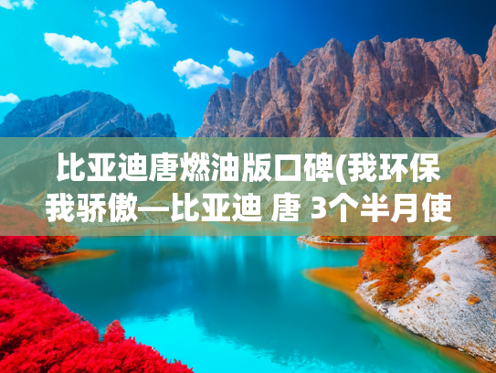 比亚迪唐燃油版口碑(我环保我骄傲—比亚迪 唐 3个半月使用报告)