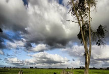 昆明旅游景点(年度昆明十大绝美打卡地，通通颜值爆表！)