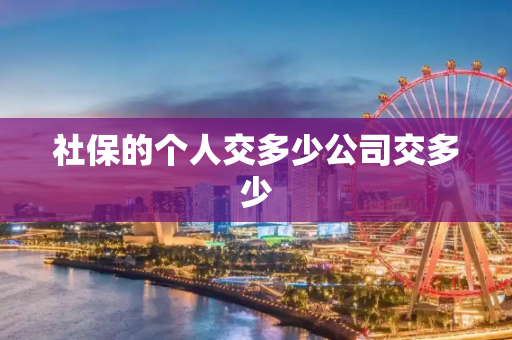 社保的个人交多少公司交多少