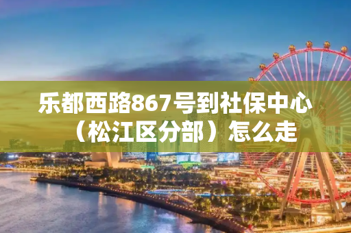 乐都西路867号到社保中心（松江区分部）怎么走