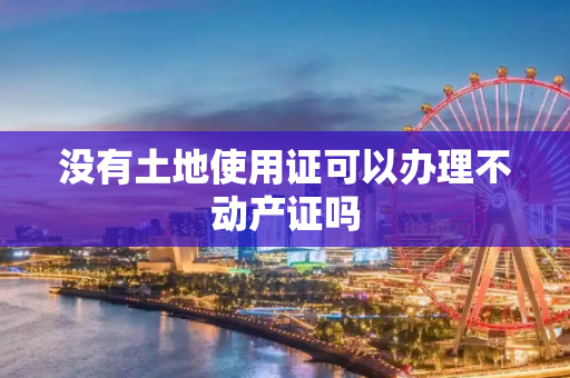 没有土地使用证可以办理不动产证吗