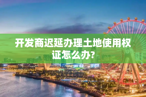 开发商迟延办理土地使用权证怎么办?