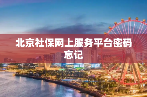 北京社保网上服务平台密码忘记