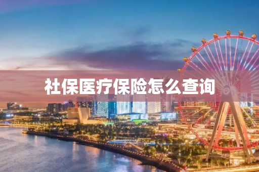 社保医疗保险怎么查询