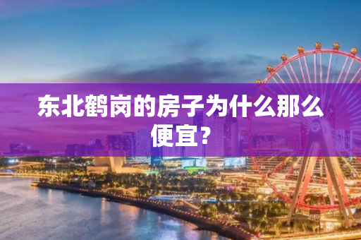 东北鹤岗的房子为什么那么便宜？