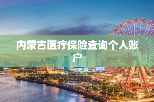 内蒙古医疗保险查询个人账户