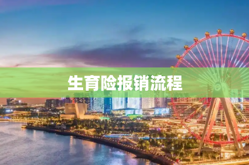 生育险报销流程