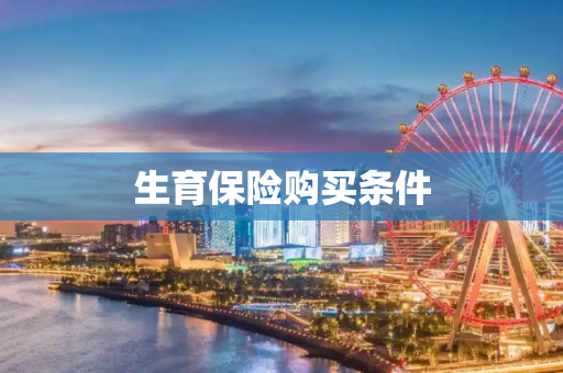 生育保险购买条件