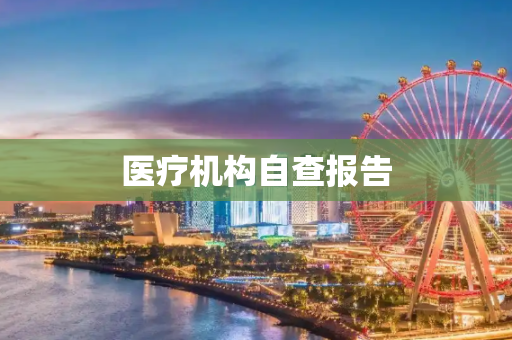 医疗机构自查报告