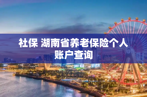 社保 湖南省养老保险个人账户查询