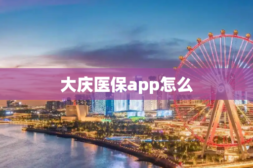 大庆医保app怎么