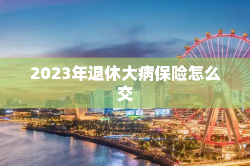 2023年退休大病保险怎么交