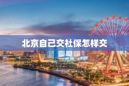 北京自己交社保怎样交