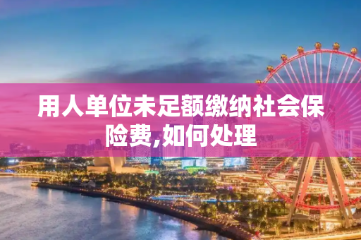 用人单位未足额缴纳社会保险费,如何处理
