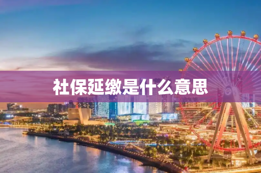 社保延缴是什么意思