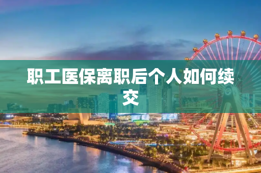 职工医保离职后个人如何续交
