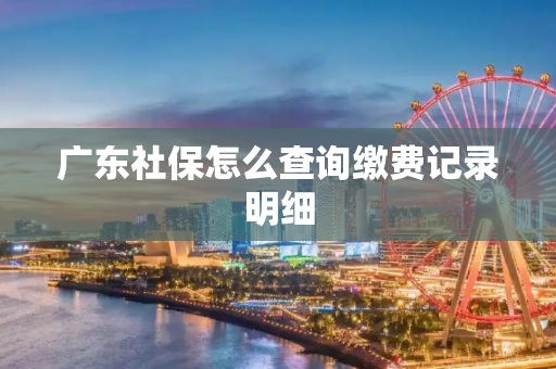 广东社保怎么查询缴费记录明细