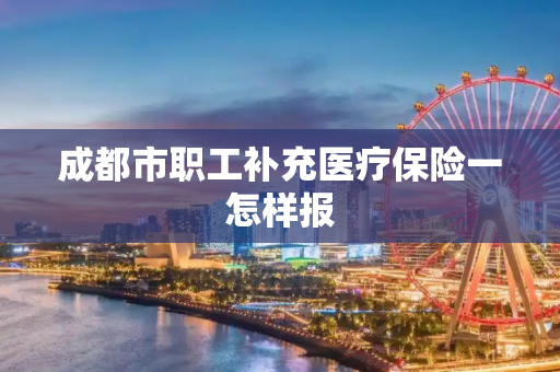 成都市职工补充医疗保险一怎样报