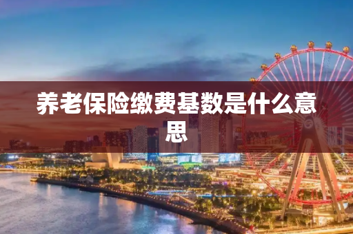 养老保险缴费基数是什么意思