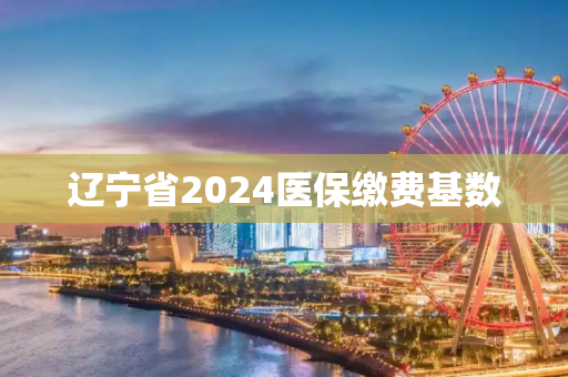 辽宁省2024医保缴费基数