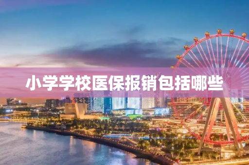 小学学校医保报销包括哪些