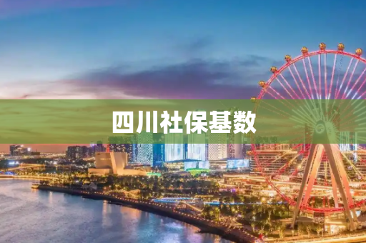 四川社保基数