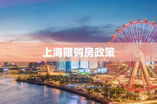 上海限购房政策