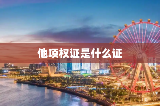 他项权证是什么证