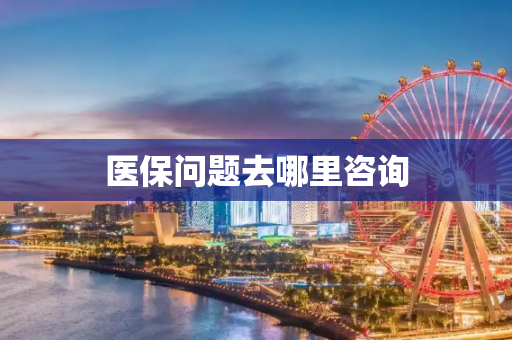 医保问题去哪里咨询