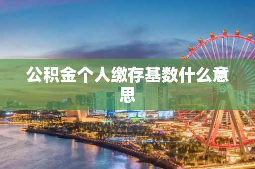 公积金个人缴存基数什么意思