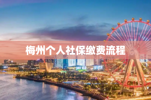梅州个人社保缴费流程
