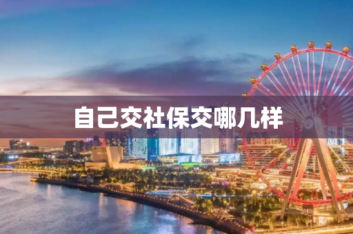 自己交社保交哪几样