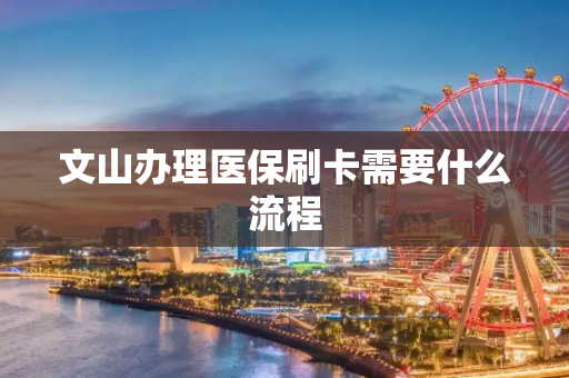 文山办理医保刷卡需要什么流程
