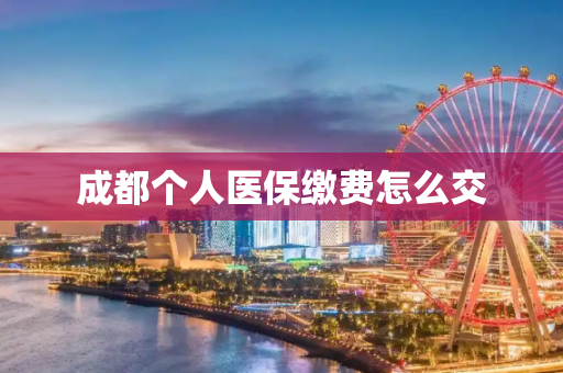 成都个人医保缴费怎么交