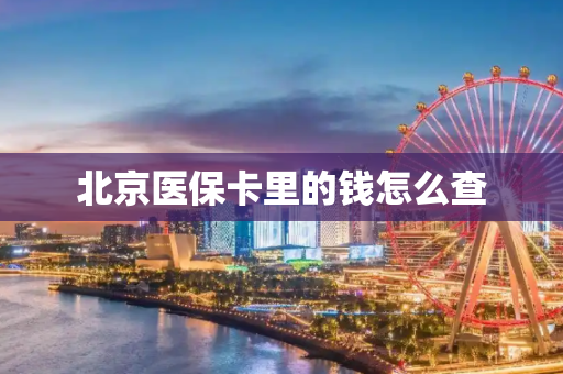 北京医保卡里的钱怎么查