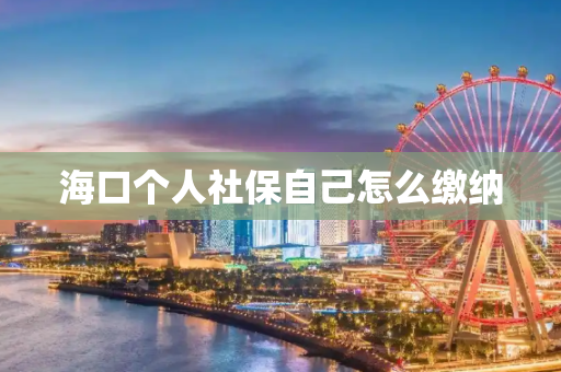 海口个人社保自己怎么缴纳