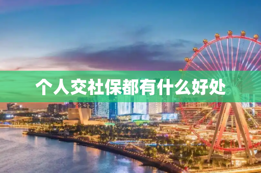 个人交社保都有什么好处