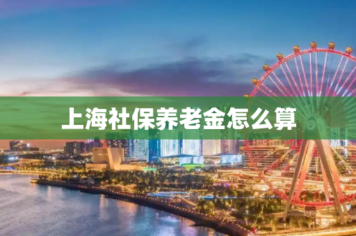 上海社保养老金怎么算