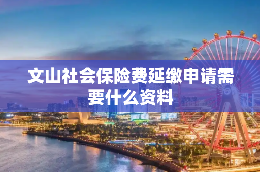 文山社会保险费延缴申请需要什么资料