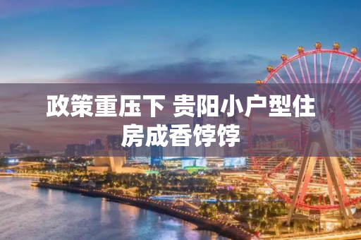政策重压下 贵阳小户型住房成香饽饽