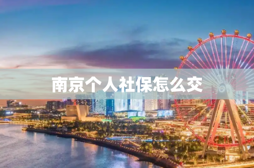 南京个人社保怎么交
