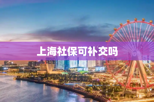 上海社保可补交吗