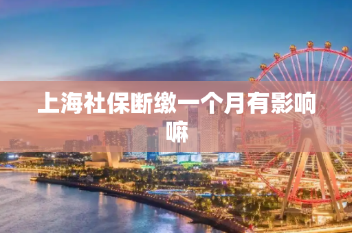 上海社保断缴一个月有影响嘛