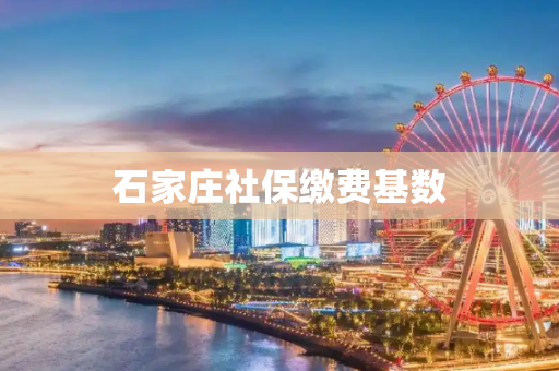 石家庄社保缴费基数