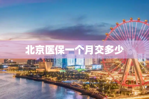 北京医保一个月交多少