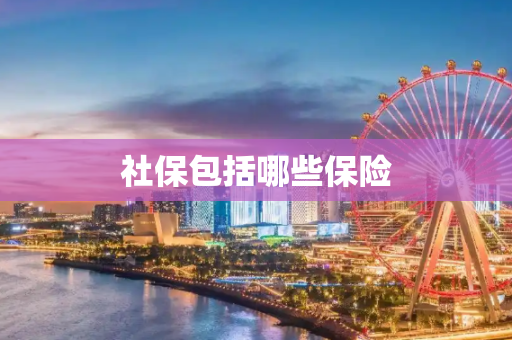 社保包括哪些保险